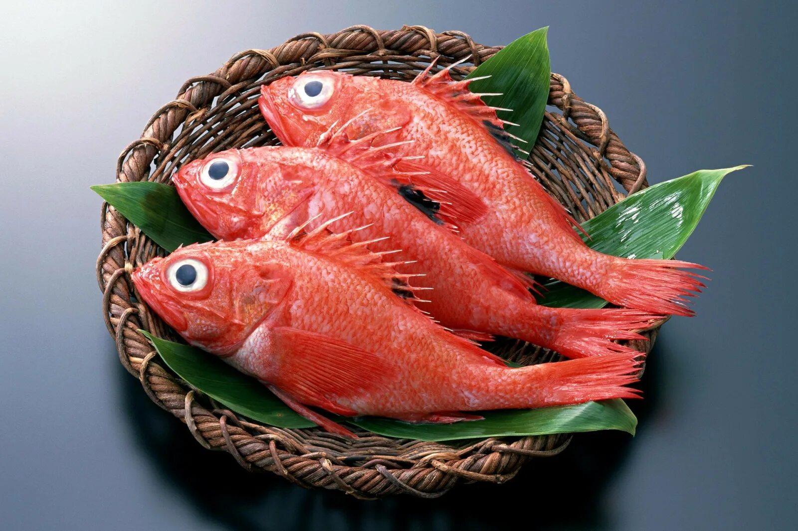 Море вкусного рыба