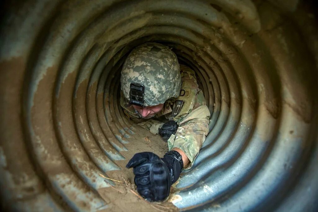 Crawling through