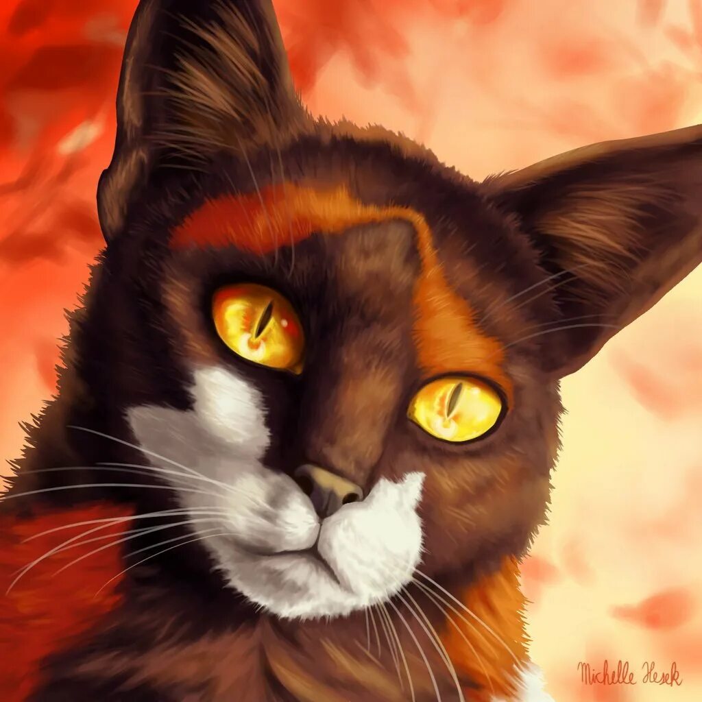 Кот сол. Коты воители сол. sol коты воители. сол коты воители арт. сол кот коты воители.