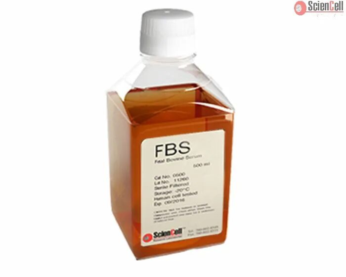 Fbs api. Fetal bovine serum. сыворотка fbs. e2309406d contigious bovine kit.