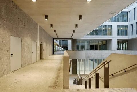 Bocconi