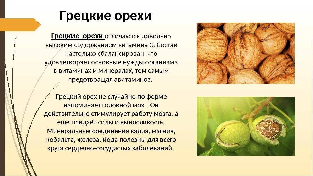 Сколько грецких орехов 1 кг. Грецкий орех витамины. Грецкий орех витамины и микроэлементы. Чем полезен грецкий орех для женщин. Грецкий орех состав.