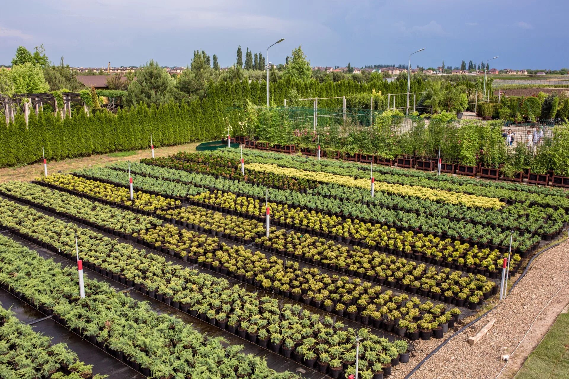 челябинский питомник саженцев