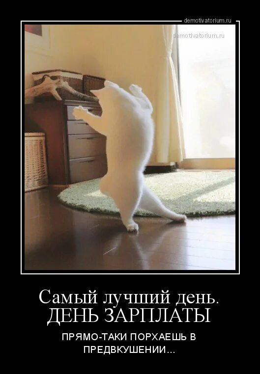 Прямо таки