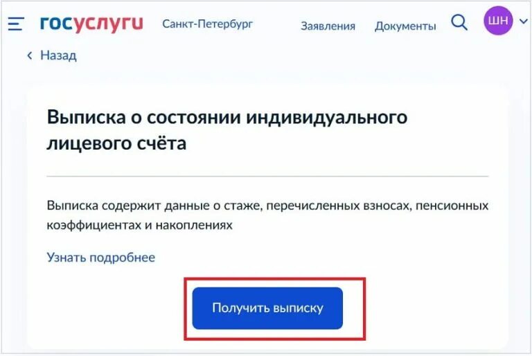 Статус проверки госуслугах. Выписка о пенсии на госуслугах. Госуслуги для пенсионеров. Как на госуслугах узнать стаж работы. Браузер для госуслуг.