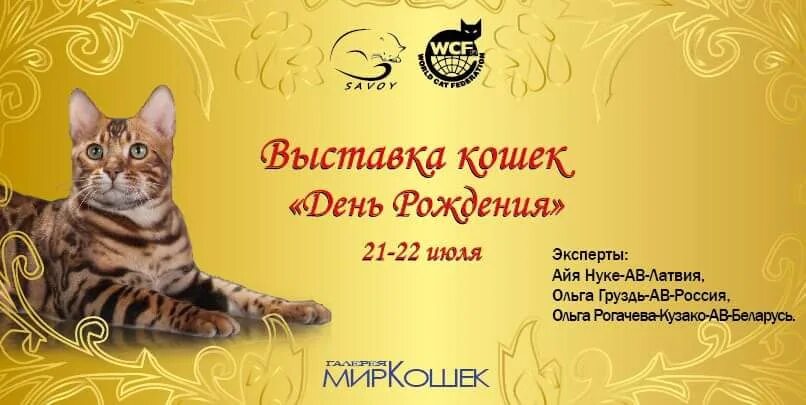 Вцф. Приглашение кошки. WCF выставки кошек. Приглашение на выставку кошек. Выставка кошек ВЦФ.