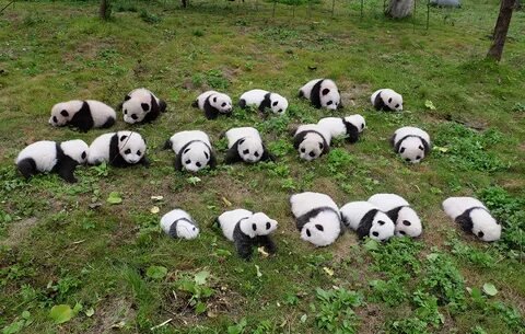Pandas period