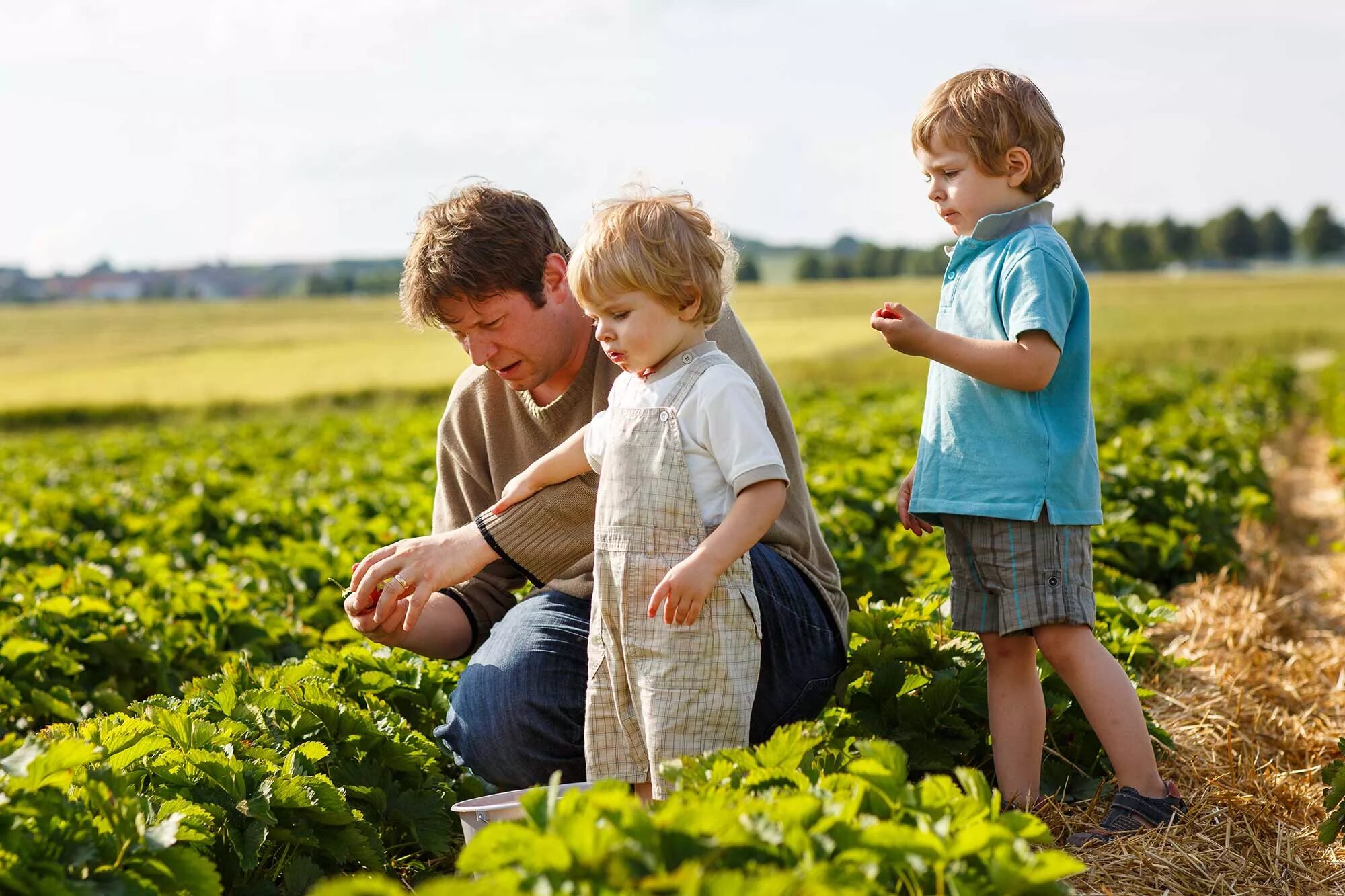 Farmer для детей. Children and Agriculture. Ферма для детей. Европейские фермеры. Farmers father save the innocence