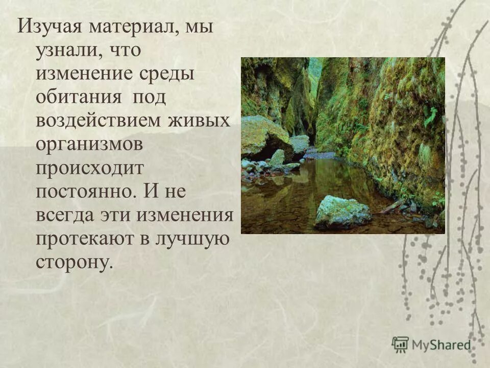 Влияние деятельности человека на биогеоценоз. Воздействия изменение климата на лесные экосистемы. Воздействие человека на экосистему. Положительное и отрицательное влияние человека на экосистему. Влияние живых организмов на экосистему.