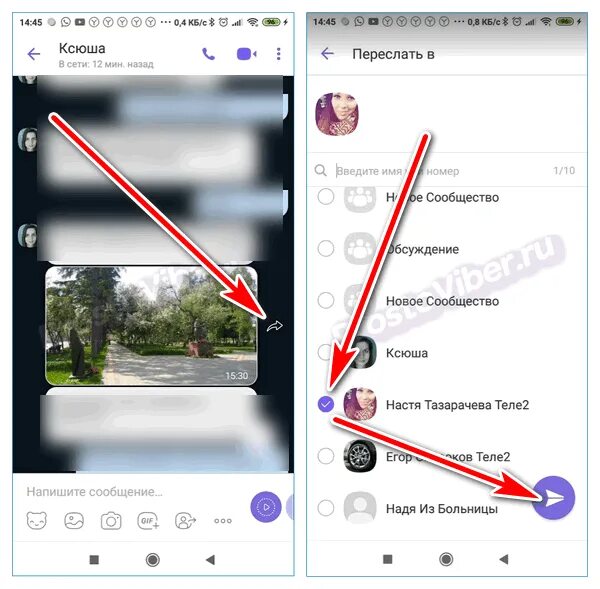 Как отправить видео в вайбере. Как переслать фото. Как переслать фото с телеграмм на вайбер. Поздравления для вайбера. Как из телеграмма переслать в вайбер фото.