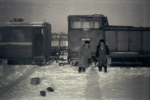 Погода кукуштан