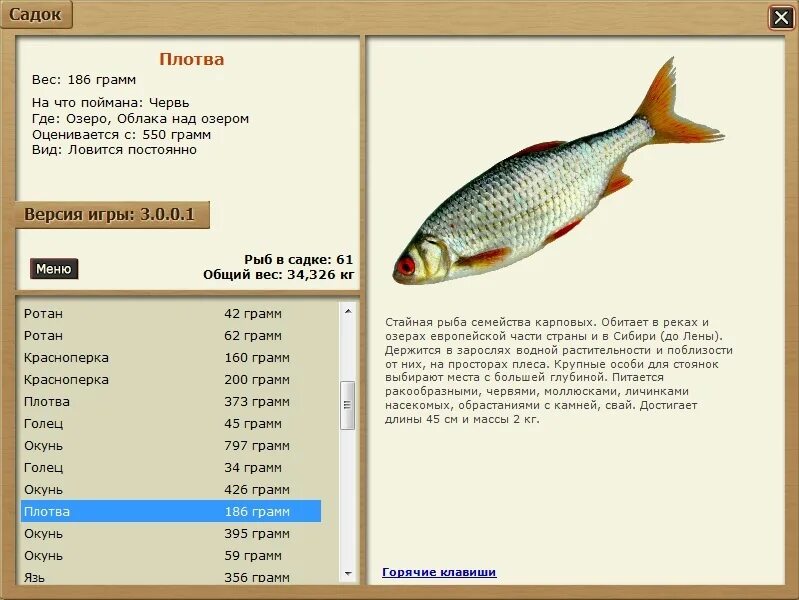 Русская рыбалка 3 7 6 деревенские просторы карась серебряный. Аральская плотва. Плотва размеры. Русская рыбалка 3 деревенские просторы красноперка. Плотва вес.