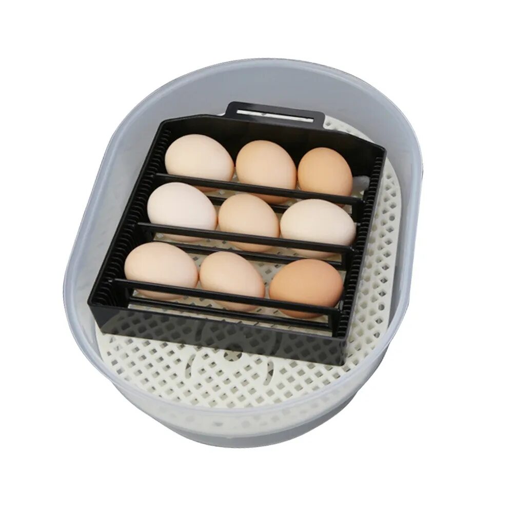 Автоматический инкубатор 12 яиц. Мини Egg инкубатор. Инкубатор 12 Egg incubator. Инкубатор Mini Egg incubator 9 яиц. Инкубатор Mini Egg ai35.