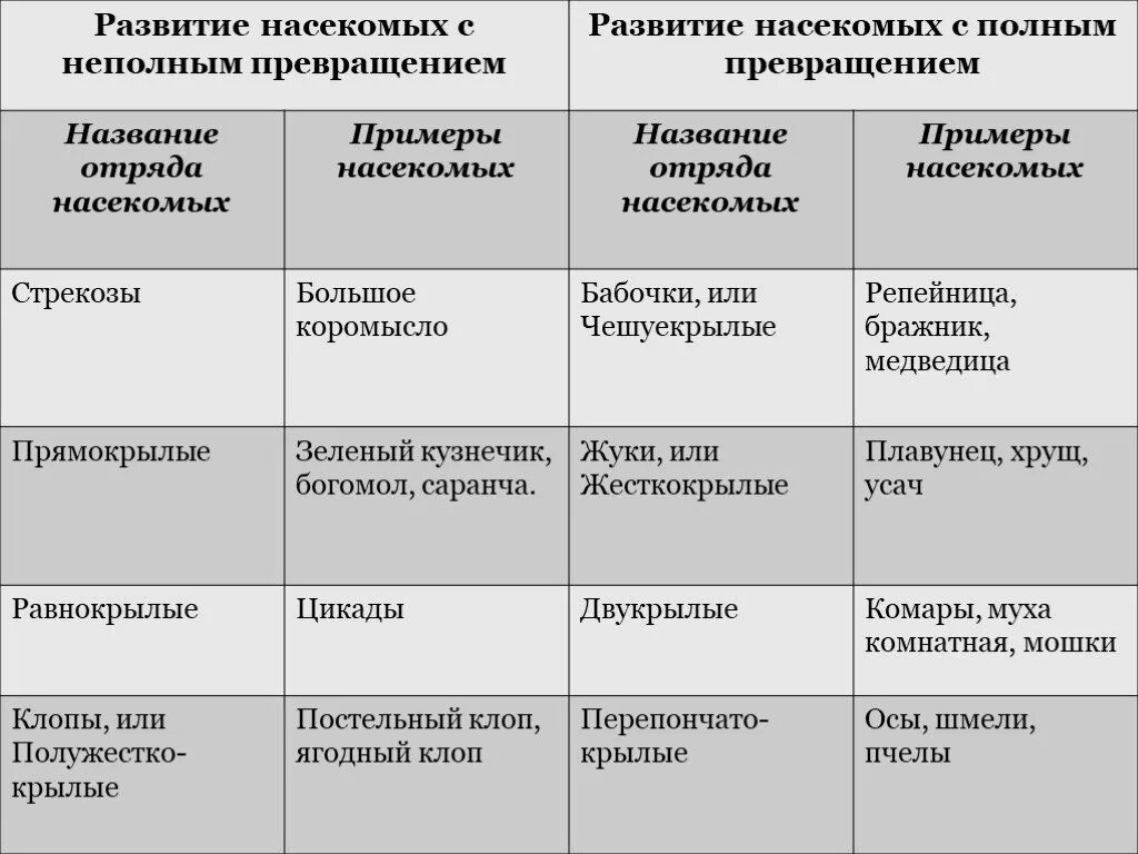 Насекомые неполное превращение таблица