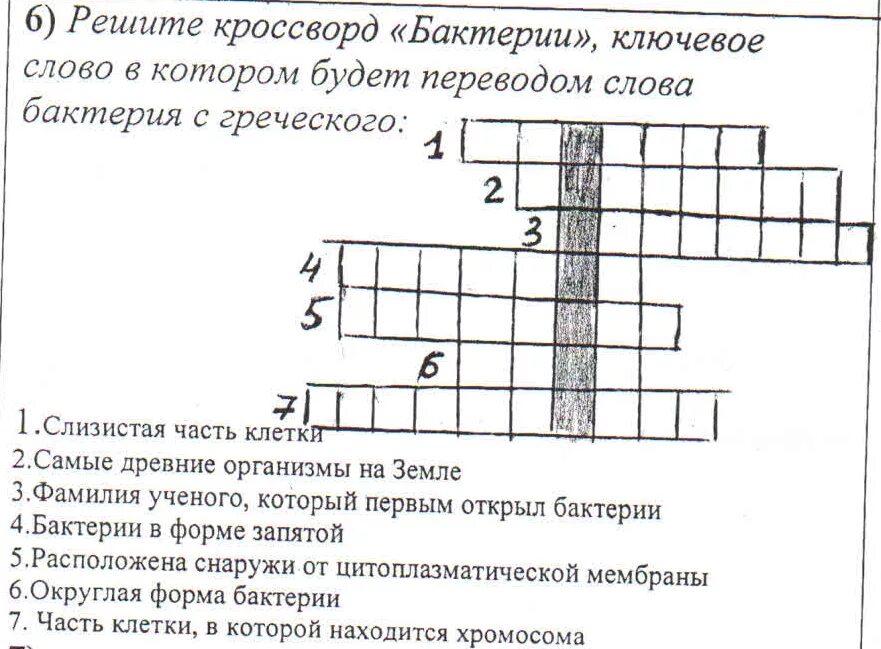 Несогласие кроссворд