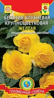 Семена бегонии клубневой