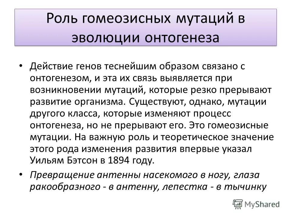 Какие причины вызывают мутации. Роль мутаций в эволюции. Значение мутаций в эволюционном процессе. Функции мутаций. Проявление генов в онтогенезе.