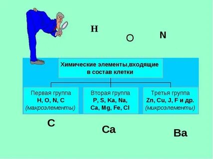 Химические элементы относящиеся к макроэлементам