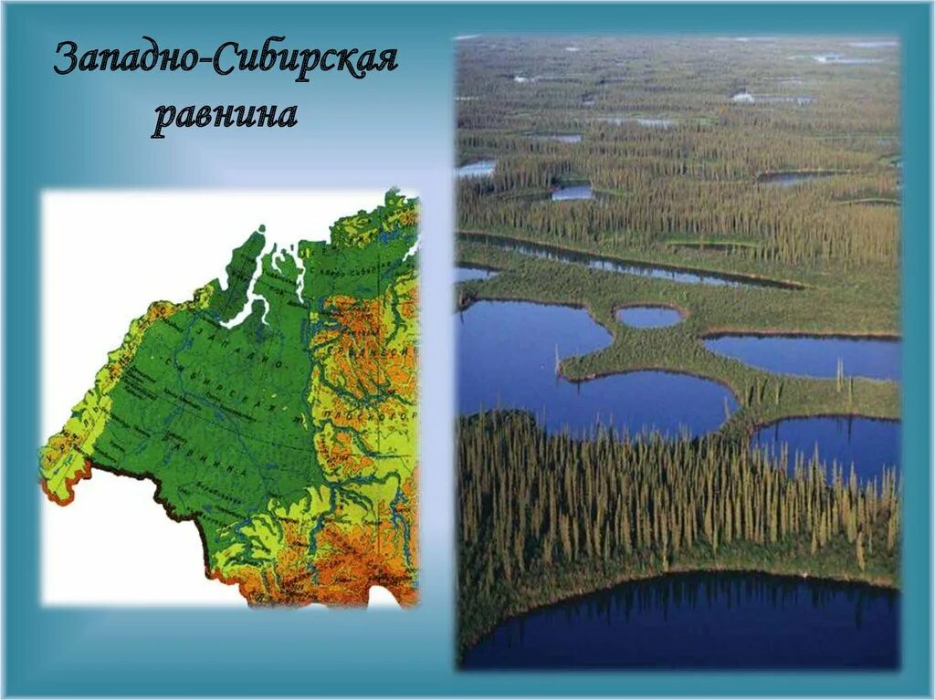 Восточно сибирская равнина высота. Рельеф Западно сибирской равнины. Западно Сибирская равнина хребты. Рельеф Западно сибирской равнины карта. Зоны Западно-сибирской низменности.