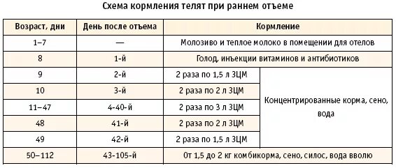 Месячному теленку сколько молока. Схема выпойки телят молоком. Схема кормления телят от 0 до 6 месяцев. Таблица кормления телят с рождения. Схема выпойки молока телятам таблица.