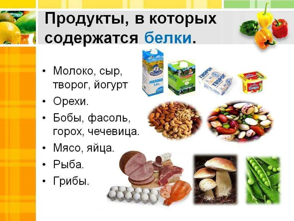 Где находятся белки. В каких продуктах содержится белок. Список продуктов содержащих белок. В чём содержится белок список продуктов. Где содержится белок в каких продуктах таблица.