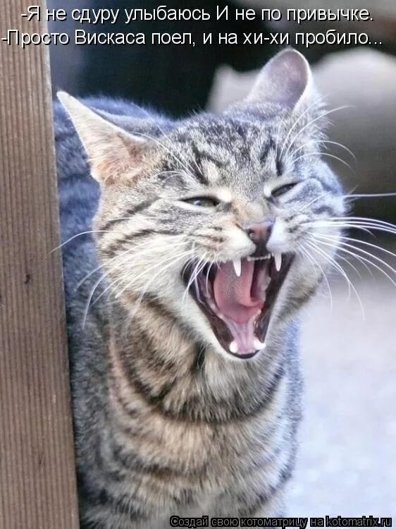 хорошо смеется тот кто смеется последним. легко смеяться. легко смеяться. поговорка смеется тот кто смеется последним. хорошо смеется тот египет.