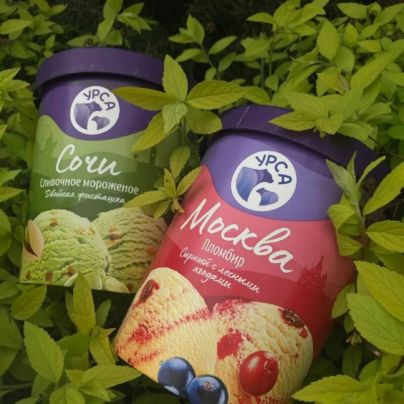 мороженое париж владивосток. владивостокская фабрика мороженого. мороженое владивосток. владивостокская фабрика мороженого. мороженое урса владивостокское.