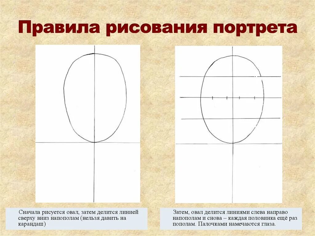 Портрет человека презентация 3 класс. Схема рисования портрета для дошкольников. Схема поэтапного рисования портрета для дошкольников. Схема рисования головы для дошкольников. Алгоритм рисования портрета для детей.