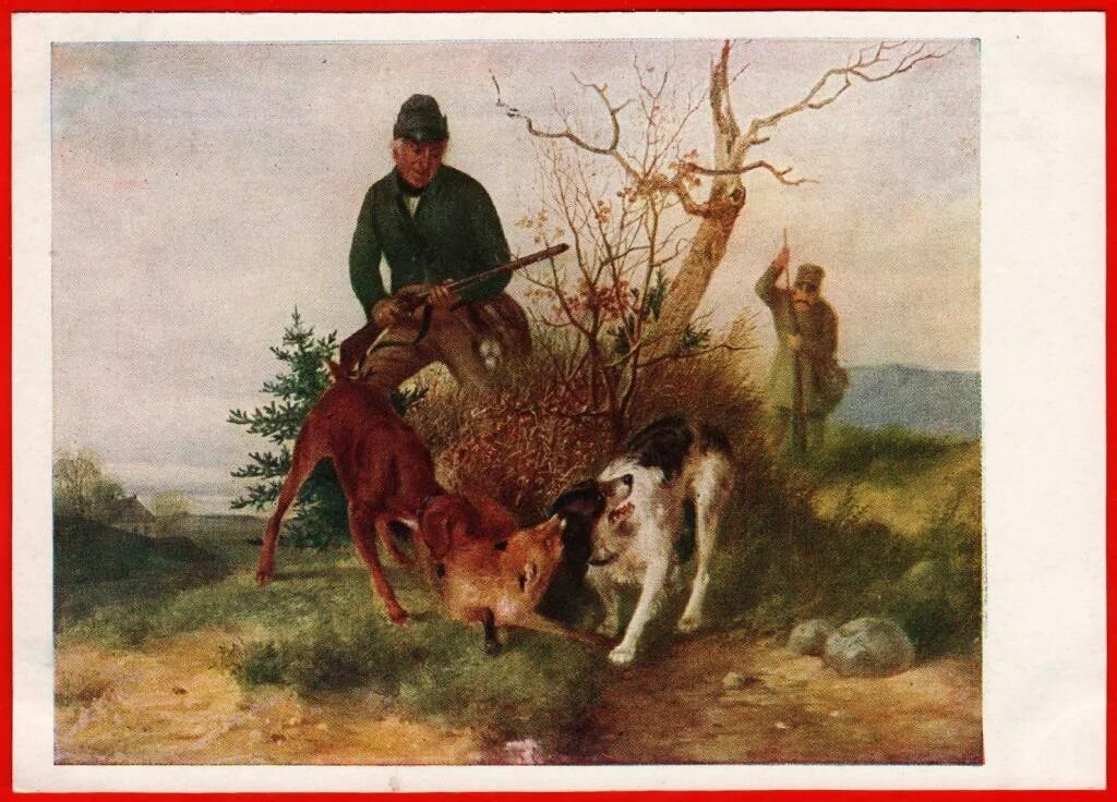 Норные охотничьи собаки таксы. Собака охотничья. Такса норная собака. Охотничья собака картина. Охота на лису с собаками.