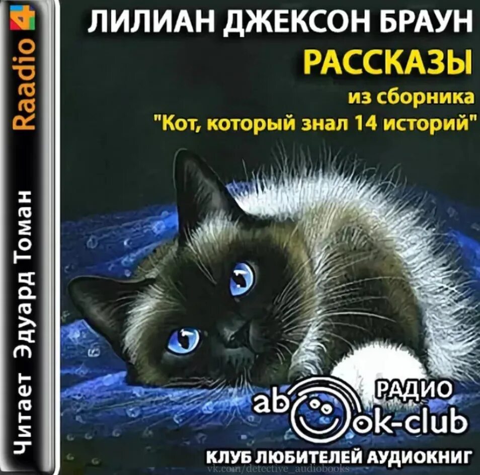 Кот с книгой. Кот который знал 14 историй. Лилиан Джексон Браун кот который книги по порядку. Лилиан Джексон Браун с котами. Аудиокниги кот который