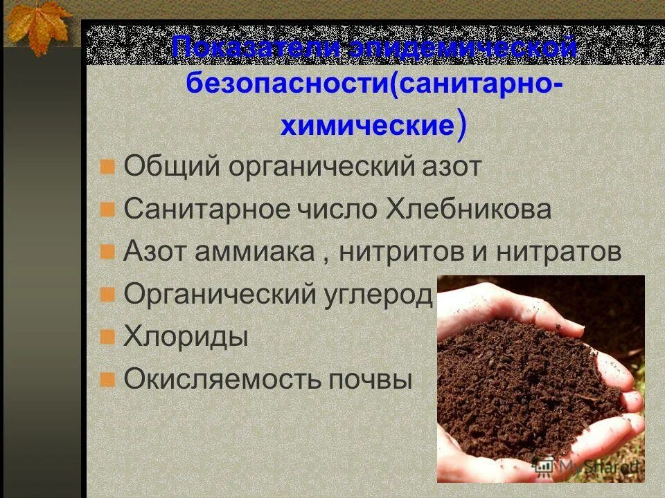 Значение почвенных ресурсов. Значение почвенных ресурсов