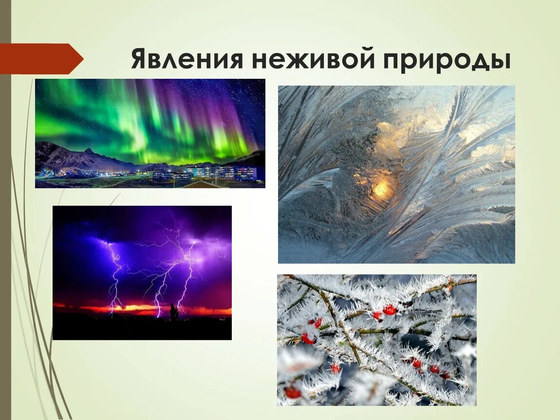 Неживая природа природные явления