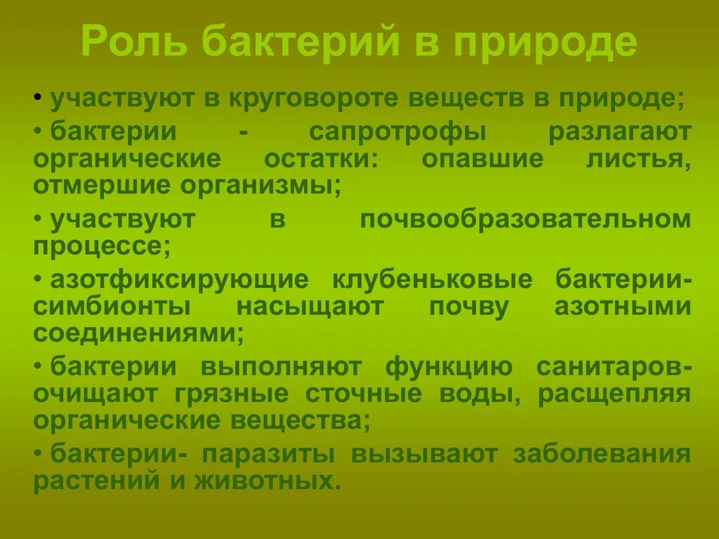 Роль бактерий в природе конспект