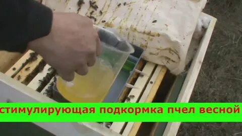 Сыта для пчел весной