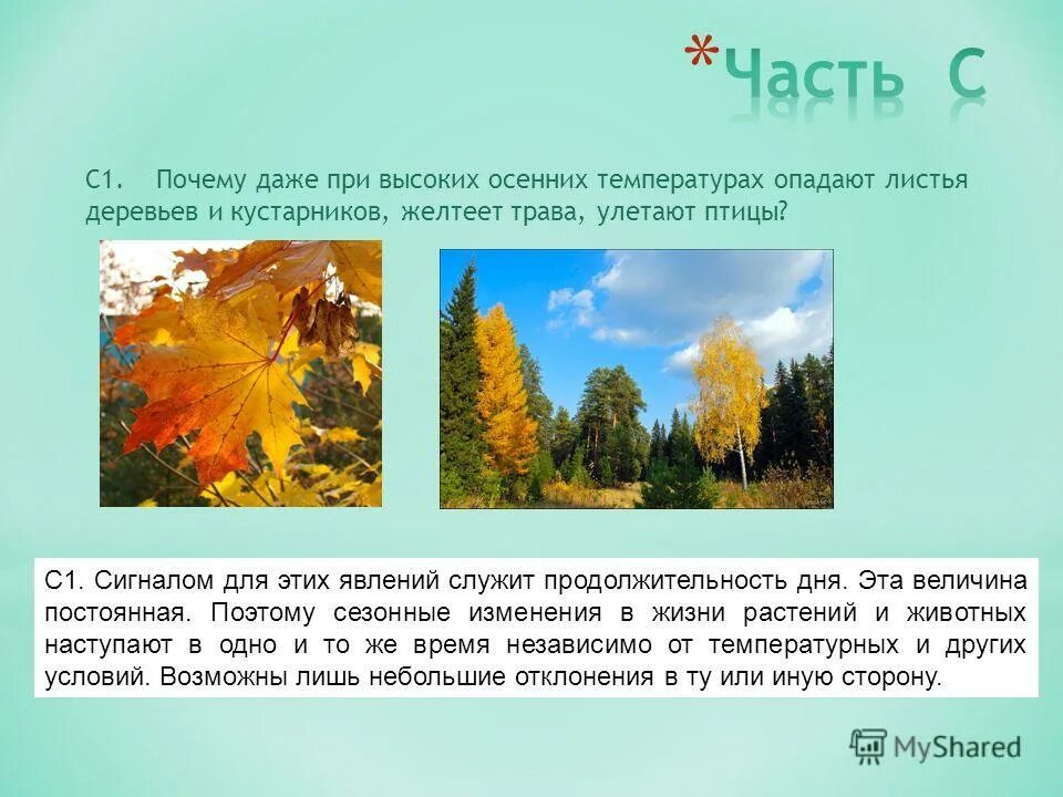 Почему поднимается температура. Почему даже при температуре. Какую температуру надо сби. Температура у ребенка. Уколы повышающие температуру тела.