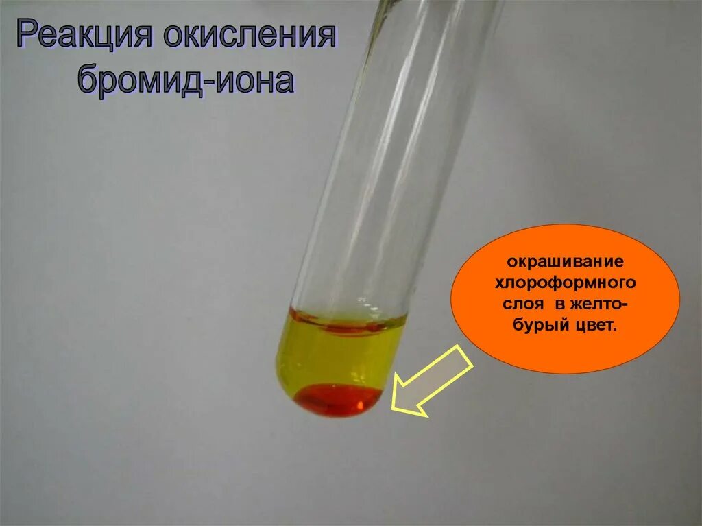 Раствор желтого цвета в пробирке. Хлороформный слой окрашивается в желто-бурый цвет. Желтая окраска раствора в пробирке. Хлороформный слой окрашивается в фиолетовый цвет. Реакция брома с иодидом калия