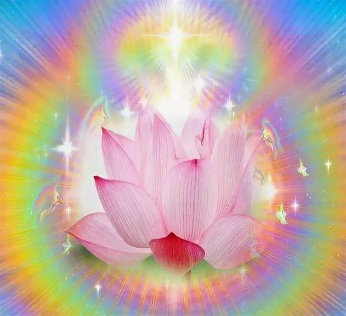 Божественно красивая картинка. Тысячелепестковый Лотос. Лотос просветление. Мандала Кутхуми. Магический цветок счастья.