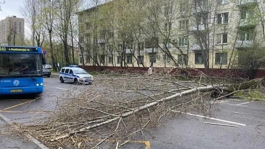 Ветер в москве деревья. Ураган в Москве 1998. Ураганный ветер. Ураган в Москве. Московский ураган в мае 2017.