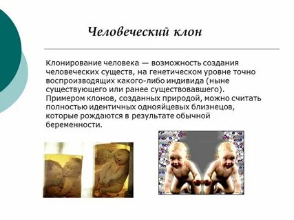 Клонирование человека биологические и нравственные аспекты