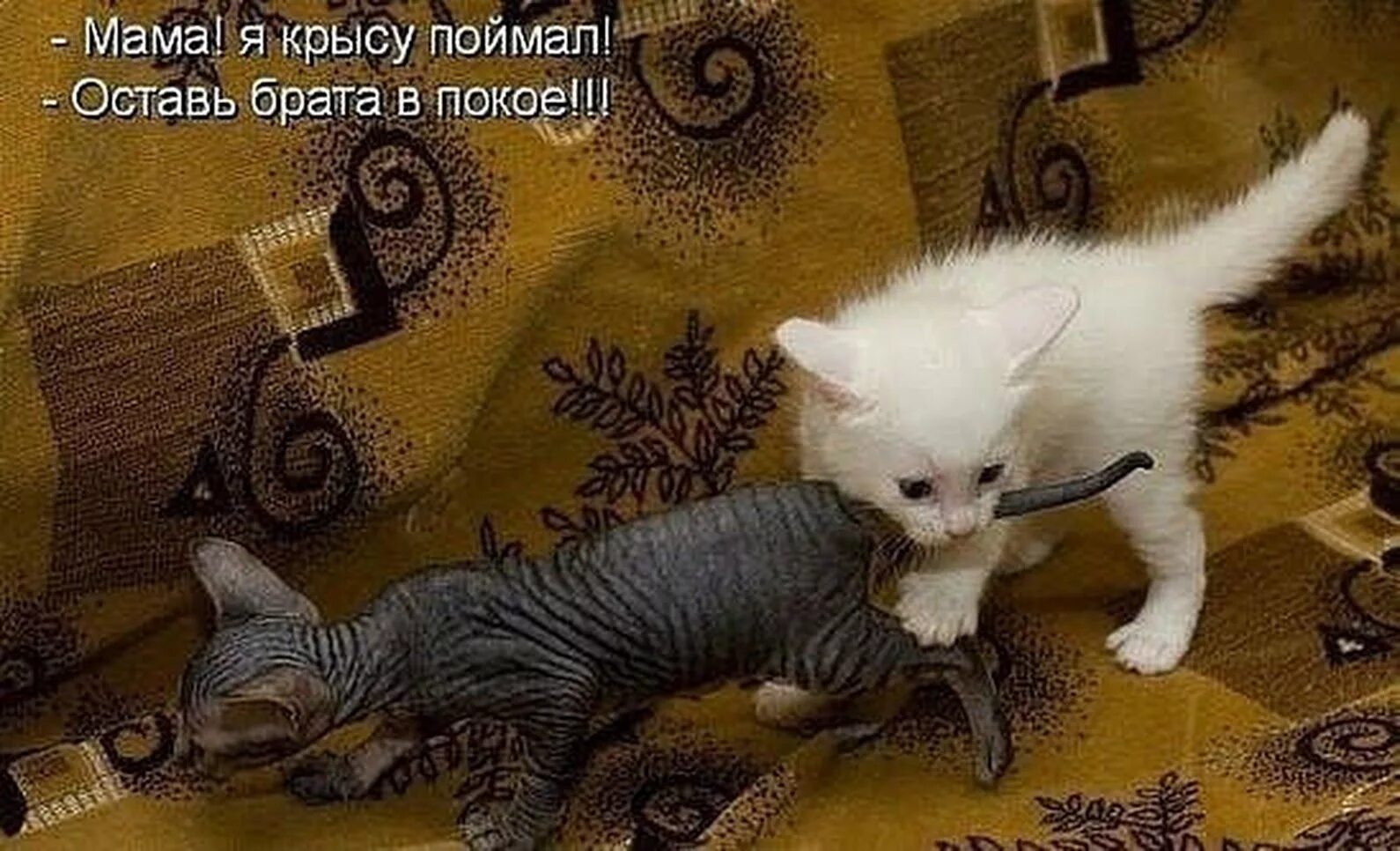 Что мне сделать скажите пожалуйста