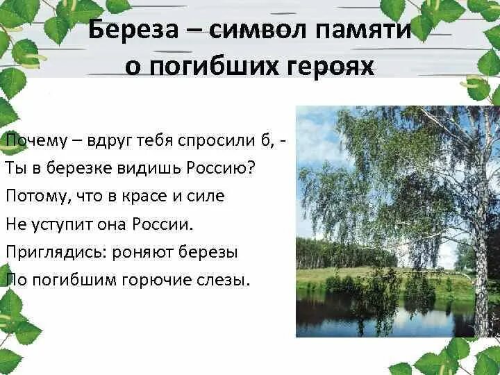 Почему березовый