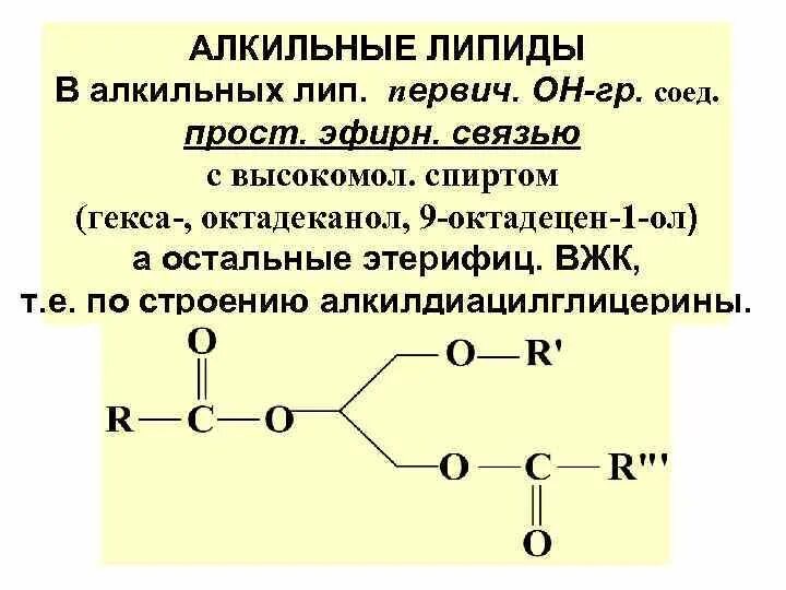 Связи липидов. Строение липидов формула. Жиры липиды строение. Общая структура липидов. Простые липиды жиры.