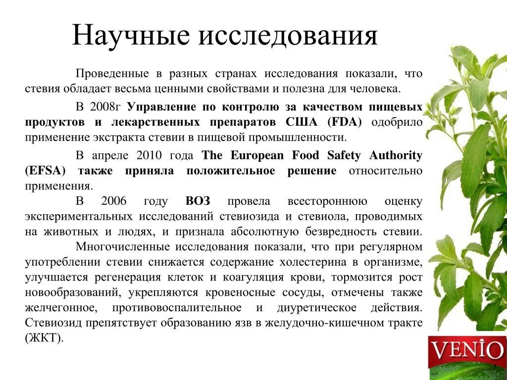 Можно стевию при диабете. Стевия растение лечебные св-ва. Стевия полезные качества. Полезные свойства стевии. Стевия характеристика.