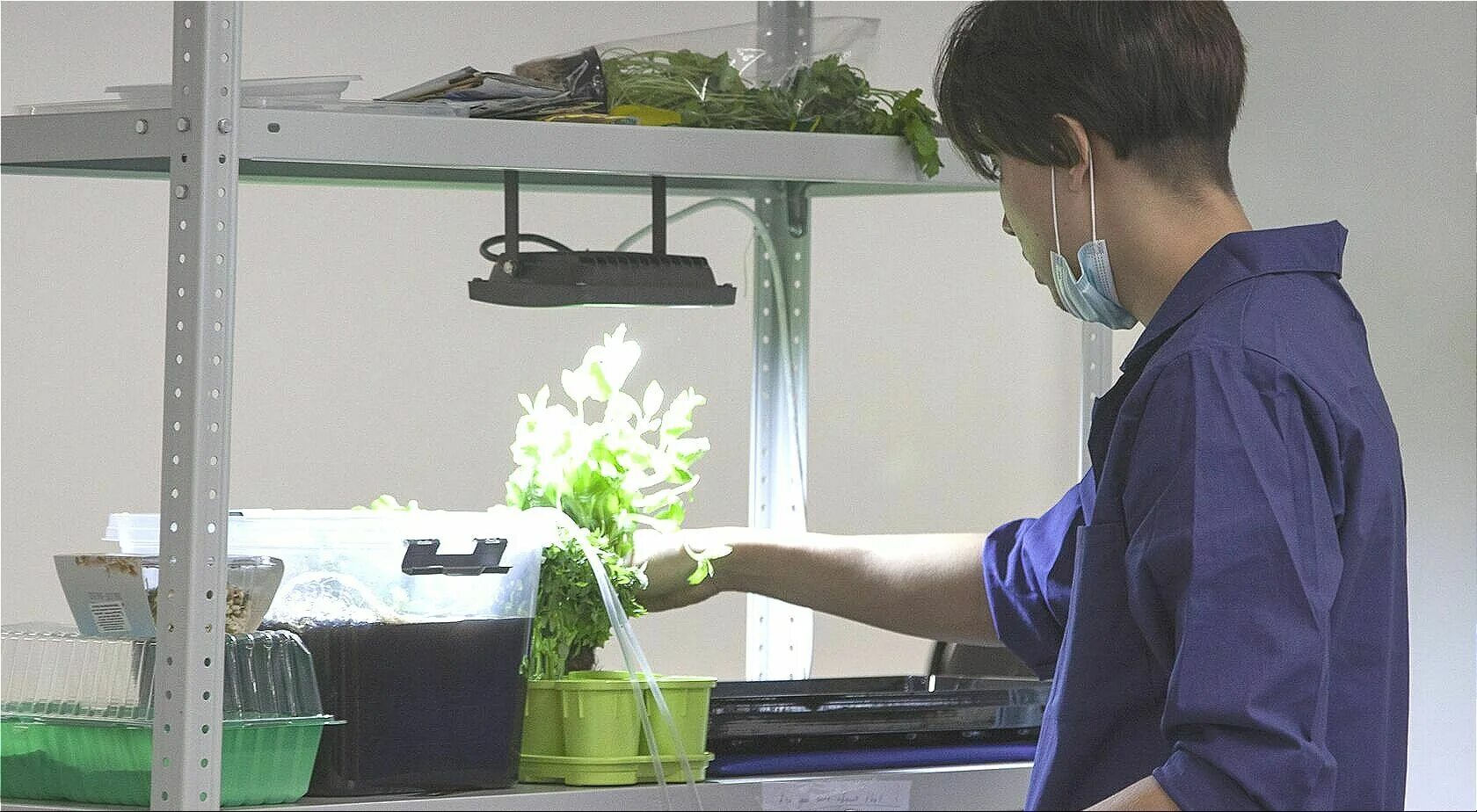 Инженерное дело в медико-биологической практике. Научные исследования в медицине. Биотехнология презентация. Биотехнология. Биологические системы и технологии.