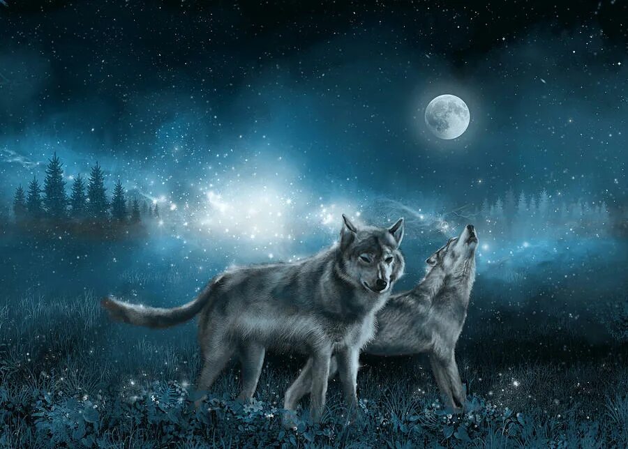 One with the wolves