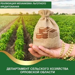 Мсх кредитование