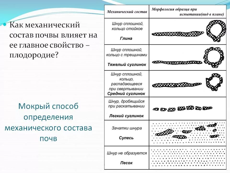 Таблица определение механического состава почвы. Механический состав почвы. Механический состав грунта. Виды механического состава почвы. Механический состав почвы песок.