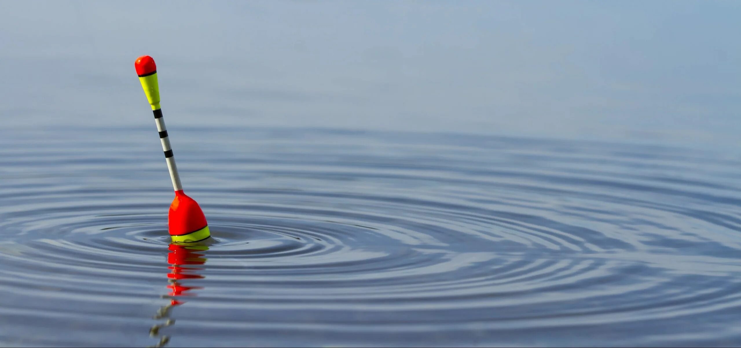 Better float. Better float