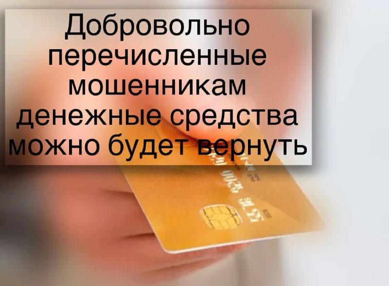 условия добровольного отказа от совершения преступления. нормативные документы вакцинация. порядок исполнения налогового обязательства. добровольно перечисляемые. условия добровольного отказа от совершения преступления.