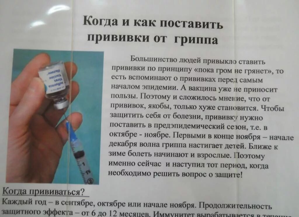 Методика постановки прививки от гриппа. Когда ставят прививку от гриппа. Когда можно ставить прививку от гриппа. Когда ставят прививку против гриппа.